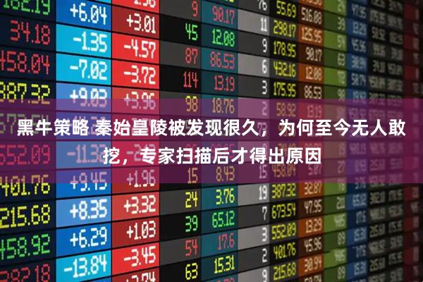 黑牛策略 秦始皇陵被发现很久，为何至今无人敢挖，专家扫描后才得出原因