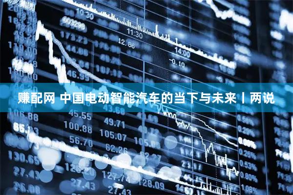 赚配网 中国电动智能汽车的当下与未来丨两说