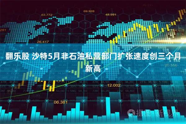 翻乐股 沙特5月非石油私营部门扩张速度创三个月新高