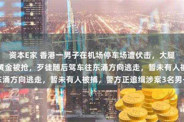 资本E家 香港一男子在机场停车场遭伏击,大腿及前臂被斩伤,6公斤黄金被抢,歹徒随后驾车往东涌方向逃走,暂未有人被捕,警方正追缉涉案3名男子