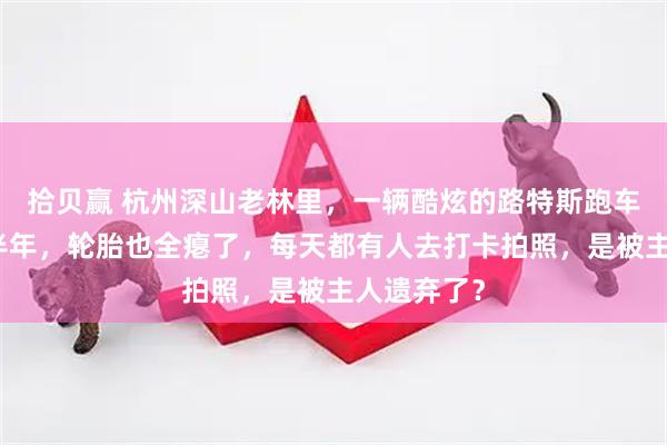 拾贝赢 杭州深山老林里,一辆酷炫的路特斯跑车趴窝了近半年,轮胎也全瘪了,每天都有人去打卡拍照,是被主人遗弃了?